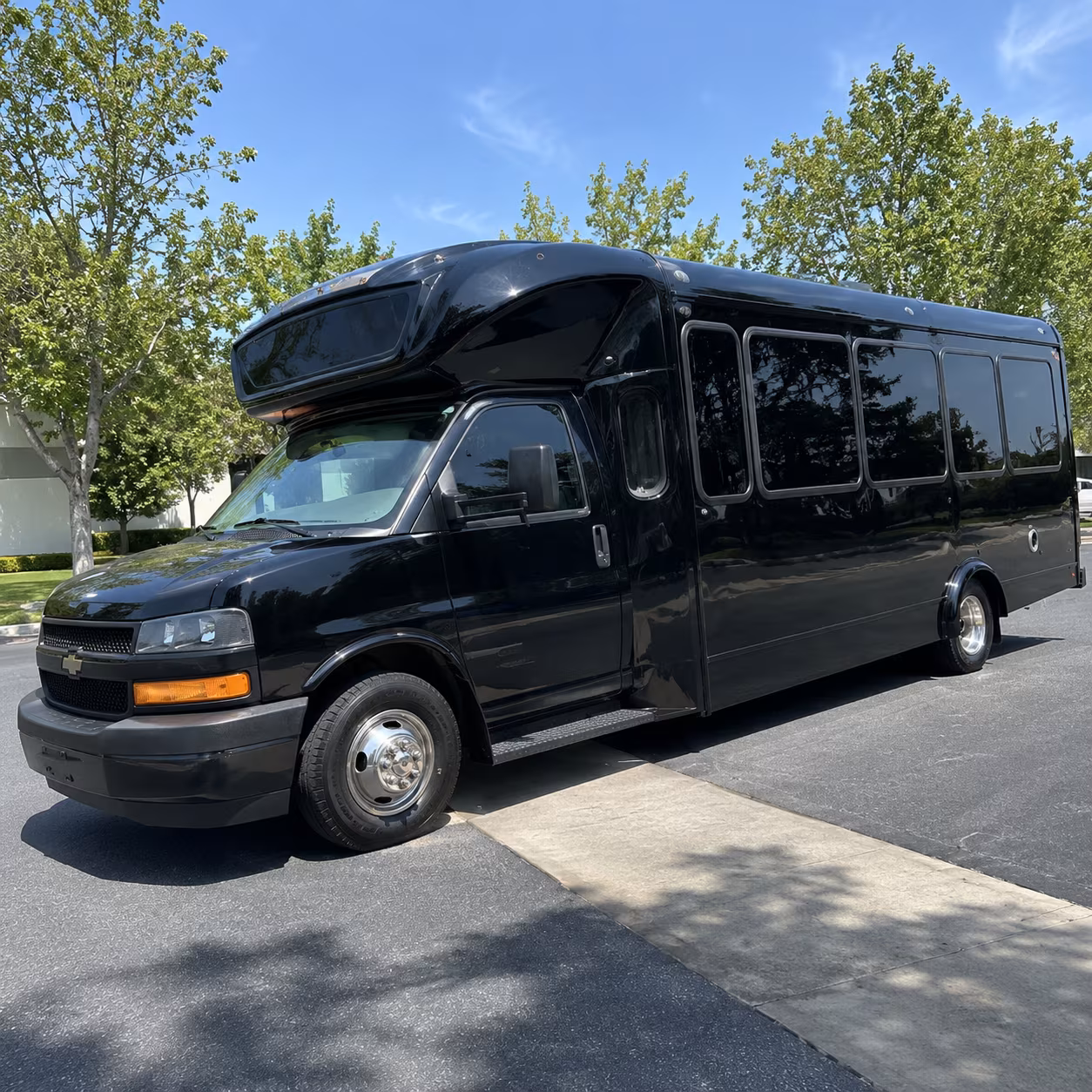 birmingham 15 passenger party bus